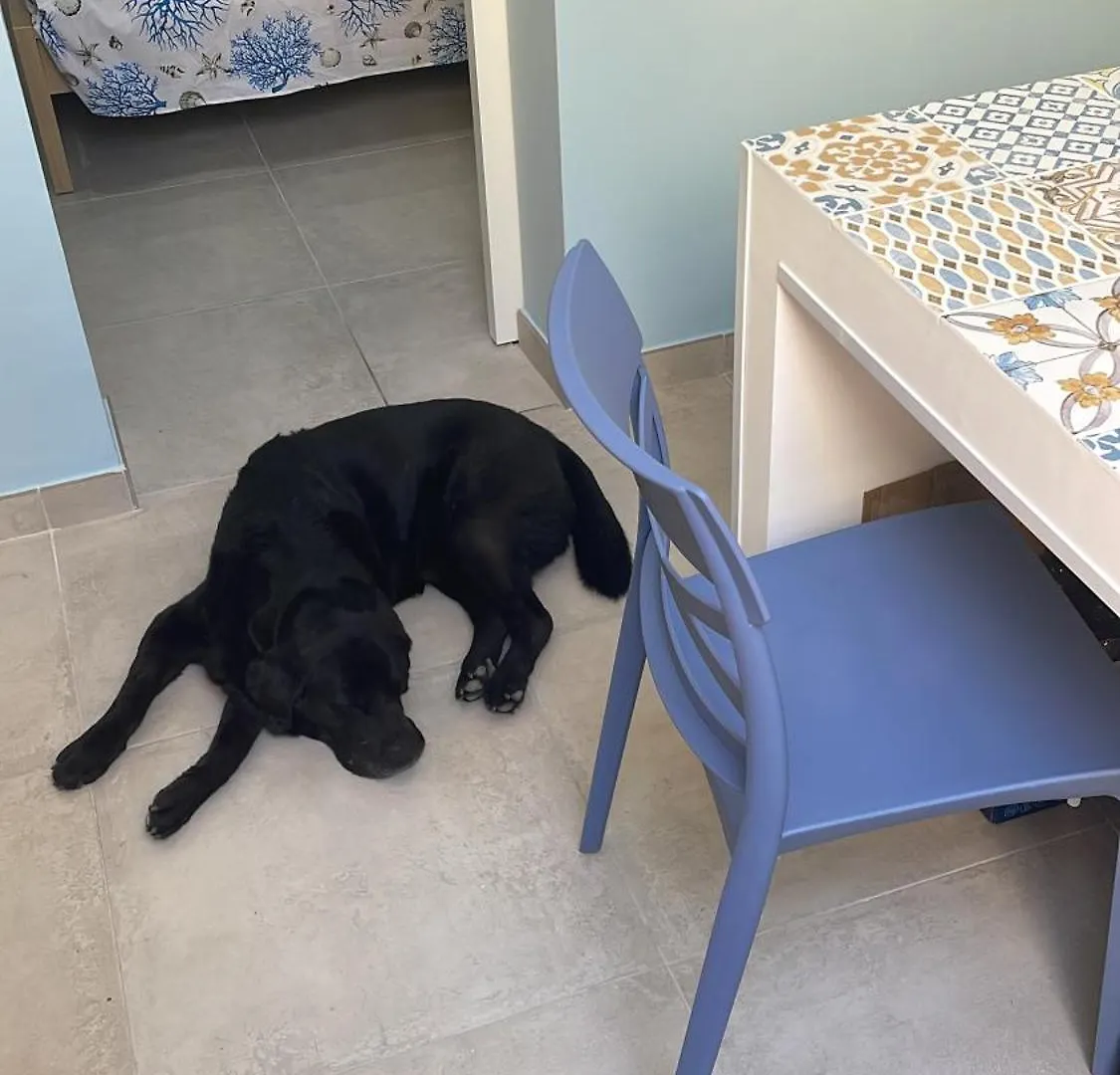 Appartamento Angu - Casa Vacanze Avola
